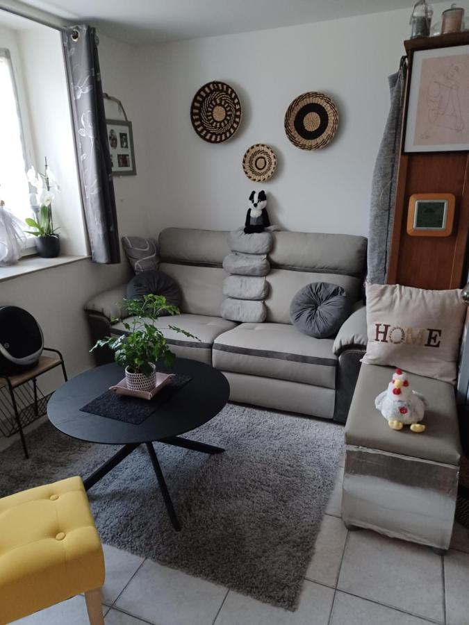 Chez L'Habitante Anita Apartment Plerin Ngoại thất bức ảnh